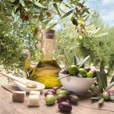 Tasting italian olive oil and freshly harvested olives.