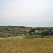 Rotello landscape